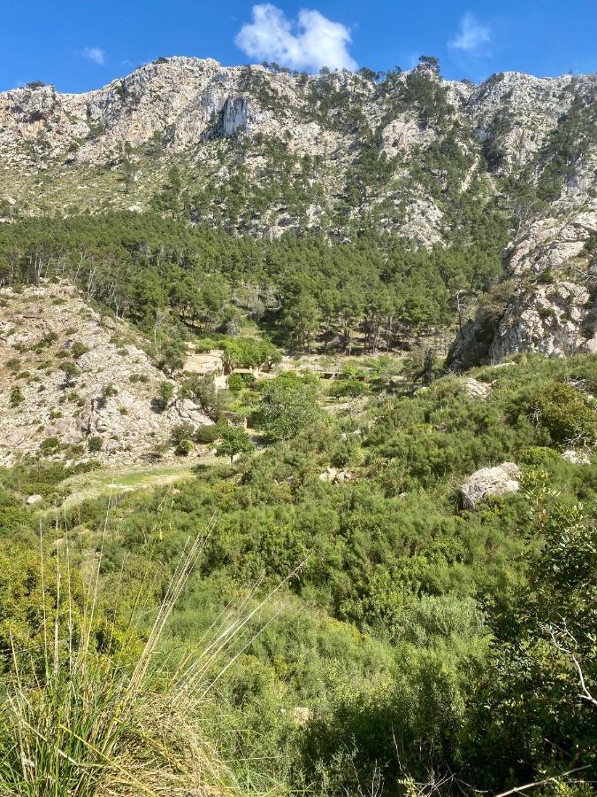 Finca Ses Fontanelles Andraitx Luaran gambar