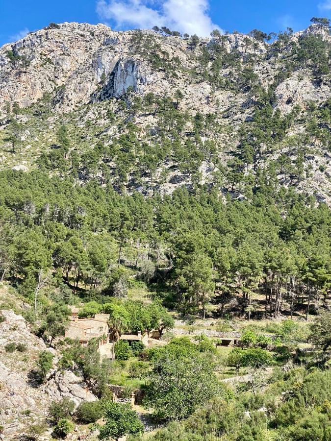 Finca Ses Fontanelles Andraitx Luaran gambar