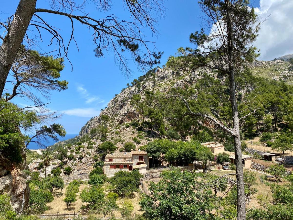 Finca Ses Fontanelles Andraitx Luaran gambar