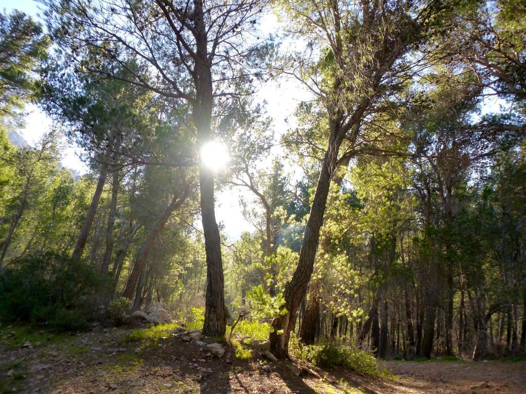 Finca Ses Fontanelles Andraitx Luaran gambar