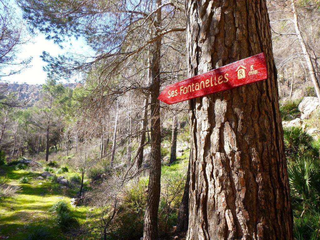 Finca Ses Fontanelles Hotel Andraitx Luaran gambar