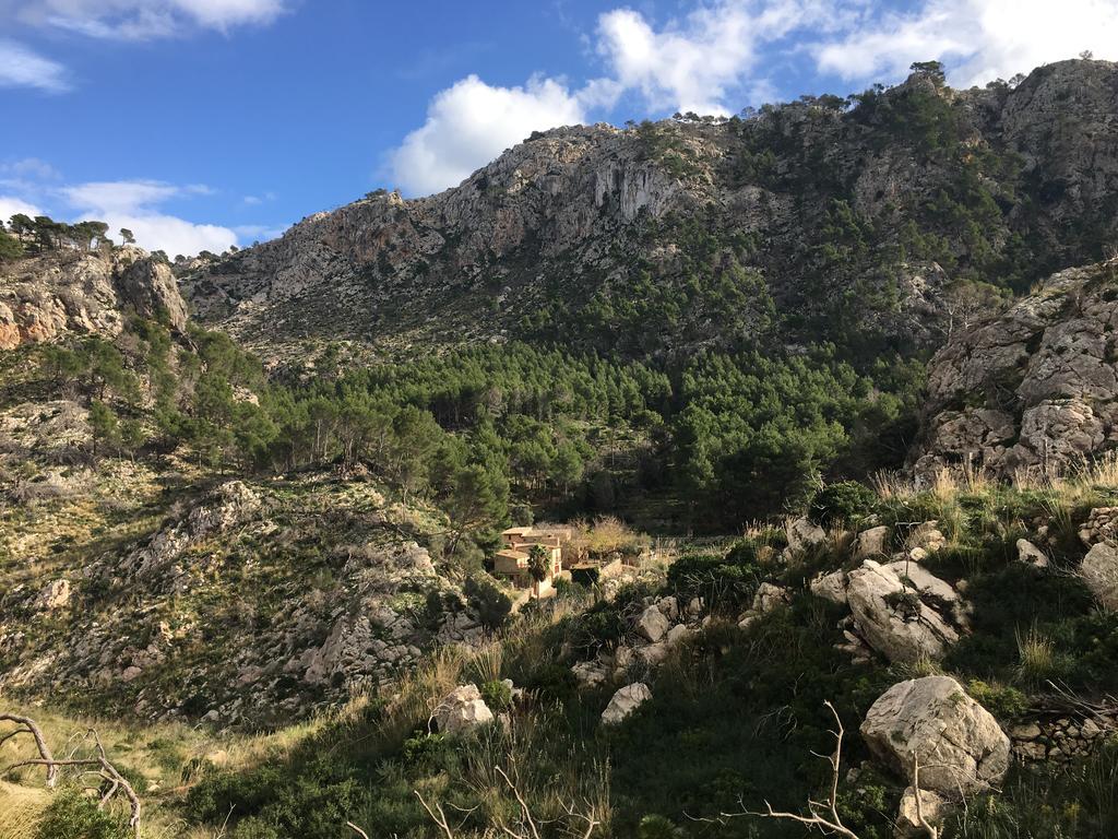 Finca Ses Fontanelles Andraitx Luaran gambar
