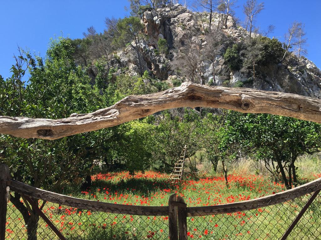 Finca Ses Fontanelles Andraitx Luaran gambar