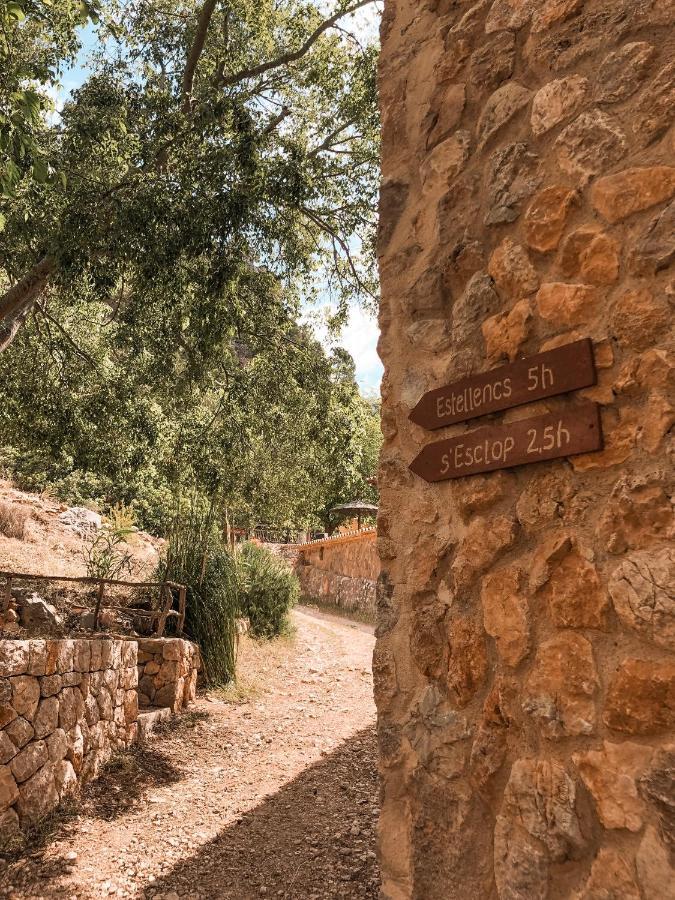 Finca Ses Fontanelles Andraitx Luaran gambar
